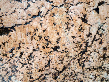 The texture of beige marble with black veins. Old marble background.の写真素材