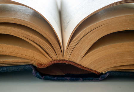 An old book with yellowed pages is open. The spine of the book and part of the pages spread are...