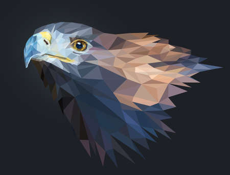 Golden eagle head on an elongated neck isolated on a dark background. Golden eagle looks forward. Polygonal graphics. Vector illustration. EPS10.のイラスト素材