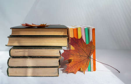 Old books and maple leaves on a light background. Clean place for text. Background for libraries, education, research and other activities.の写真素材
