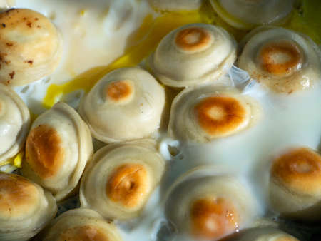 The dumplings are laid out in one layer and fried with eggs. Bright appetizing background with homemade food.の写真素材