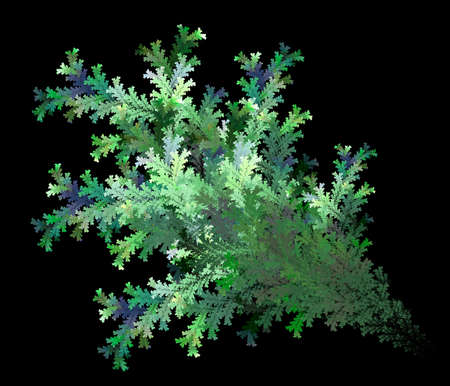 Abstract green branch of cypress or spruce diagonally on a black background. Graphic design element. 3d rendering. 3d illustration.の写真素材