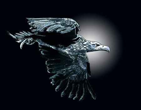 The white-tailed eagle flies at night against the backdrop of the moon. Monochrome graphic drawing with an eagle. Illustration.の写真素材