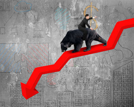 Businessman riding black bear on red arrow downward trend line with business doodles concrete wall background. Fight back bearish market concept.の写真素材