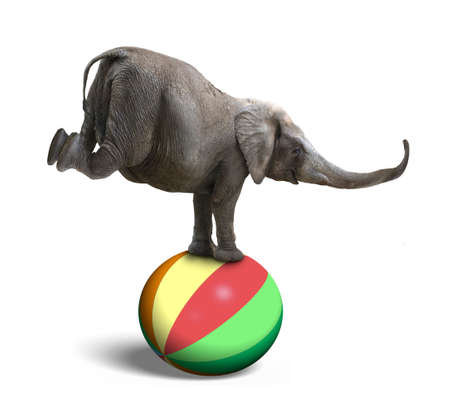 Elephant balancing on a colorful ball, isolated on white backgroundの写真素材