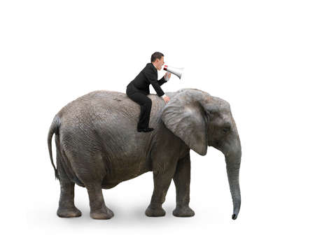 Businessman with using speaker riding on walking elephant, isolated on white.の写真素材