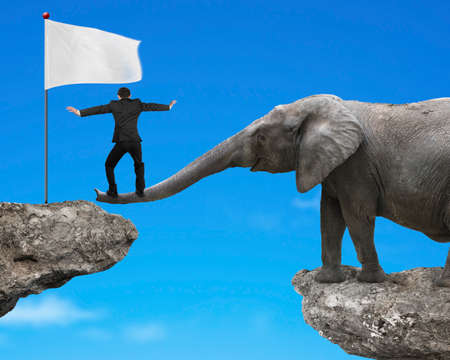 Businessman balancing on the trunk of elephant with white flag on cliff, on blue sky background.の写真素材