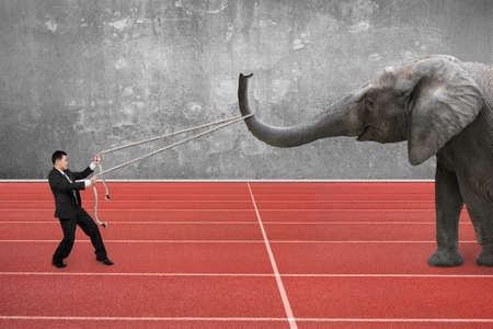 Businessman using rope pulling the nose of elephant, with red running track background.