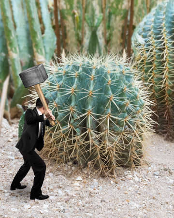 Small man holding hammer with big cactusの写真素材