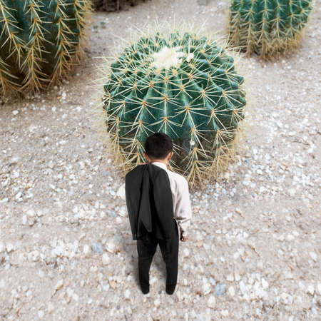 Rear view of small man with big cactusの写真素材