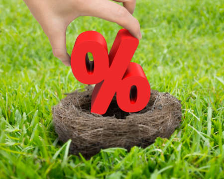 Woman hand holding 3D red percentage sign in nest on the meadow.の写真素材
