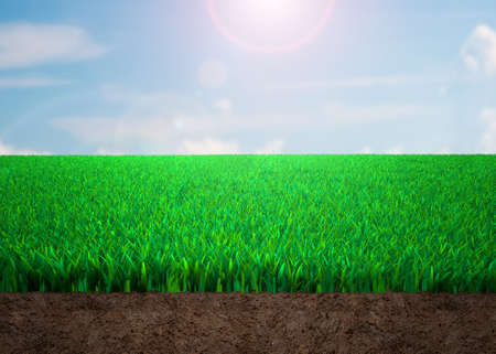 Cross section of grass and soil with sunny blue sky clouds background.