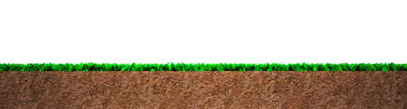 Cross section of green grass and soil, isolated on white background.の写真素材
