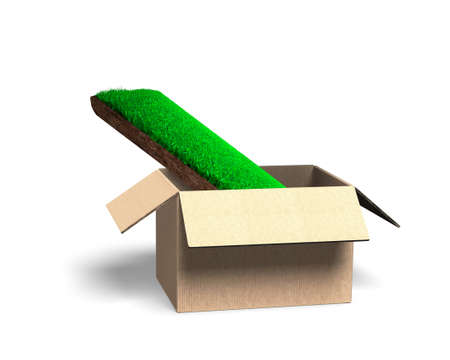 Concept of investing or buying green space, environmental afforestation, a turf with grass and mud texture in open cardboard box, isolated on white, 3D illustration.の写真素材