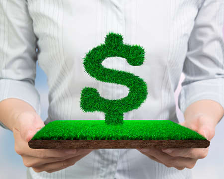 Concept of green circular economy, investment, supply and solution, woman hands holding grass in dollar sign shape on meadow with mud, front view.の写真素材