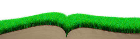 Part of opened book with green grass and brown soil texture page, isolated on white, side view. 3D illustration.の写真素材