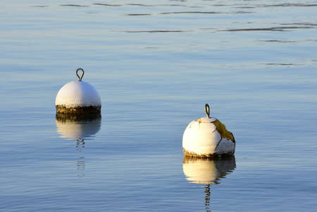 two white buoys floating on a blue lakeの写真素材