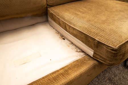 Couch with a lot of filth under the cushions. House cleaning, Spring cleaning concepts.の写真素材