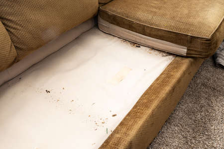 Couch with a lot of filth under the cushions. House cleaning, Spring cleaning concepts.の写真素材