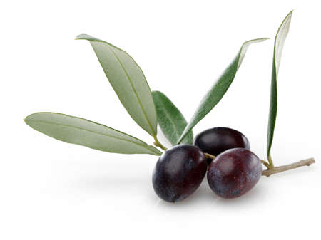 Black Olive with green leaves isolated on white background.の写真素材