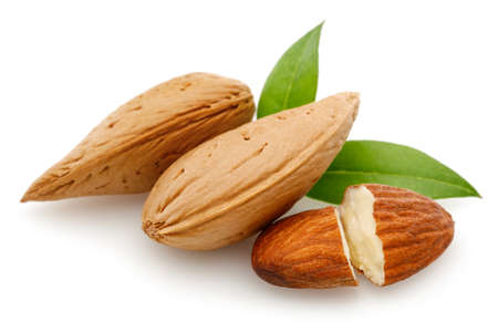 Almonds nut isolated on a white backgroundの写真素材