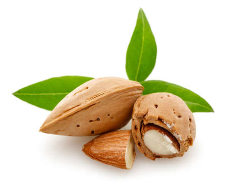 Almonds nut isolated on a white backgroundの写真素材