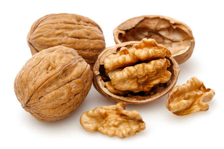 Peeled walnut and its kernels. Isolated on a white backgroundの写真素材