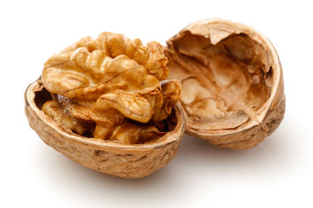 Peeled walnut and its kernels. Isolated on a white backgroundの写真素材