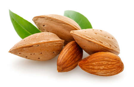 Almonds nut isolated on a white backgroundの写真素材