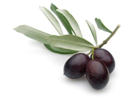 Black Olive with green leaves isolated on white background.の写真素材