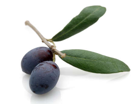 Black Olive with green leaves isolated on white background.の写真素材