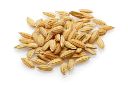 Paddy Rice seed. Isolated on a white backgroundの写真素材
