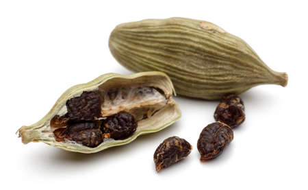 Green cardamom pods and seeds close up on white backgroundの写真素材