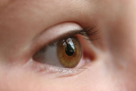 Extreme closeup of a young girl's brown eye looking out the window.  The window's reflection is seen in the eye.の写真素材
