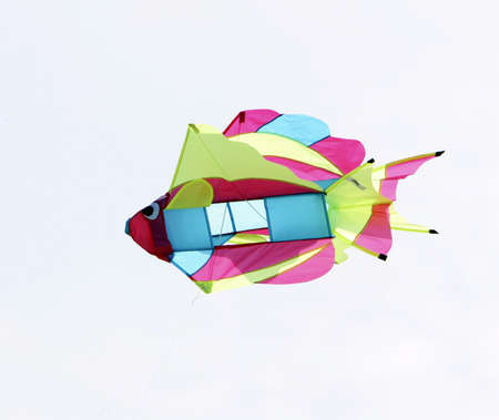 Brightly colored fish kite isolated against a white background.の写真素材