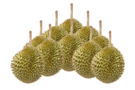 organic fruit durian isolate on white backgroundの写真素材