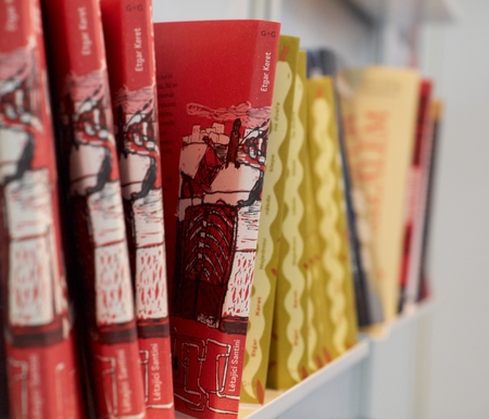 Detail of Etgar Keret books on the shelf   Focus on the book Flying Santini    のeditorial素材
