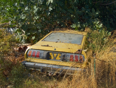 Car wreck overgrowing with fig tree and dry grass on the the outskirts of town in Greece     の写真素材
