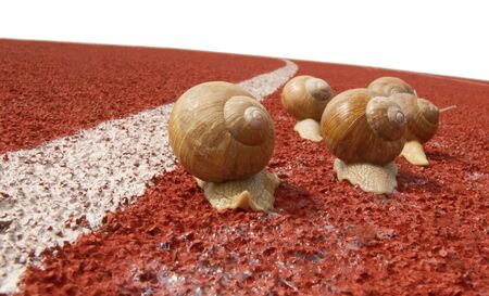 Snails on a real red running race track with white dividing line, leaving a visible trail of slimeの写真素材