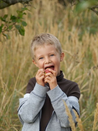 The little boy is going to bite into an appleの写真素材