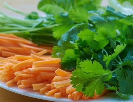 Close-up of white plate with fresh coriander and carrot sliced as julienne.の写真素材