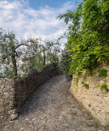 Little road of Castello village in the north of Italy near to Lake Garda.の写真素材