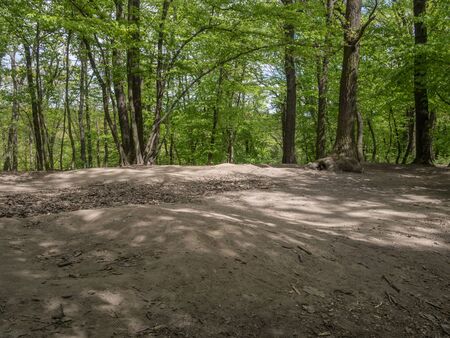 Devastation of Prokopske valley suburban forest on the outskirts of Prague due to drought together with high attendance in connection with the COVID-19 pandemicの写真素材