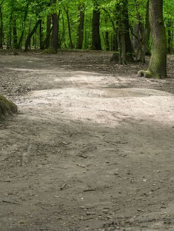 Devastation of Prokopske valley suburban forest on the outskirts of Prague due to drought together with high attendance in connection with the COVID-19 pandemicの写真素材