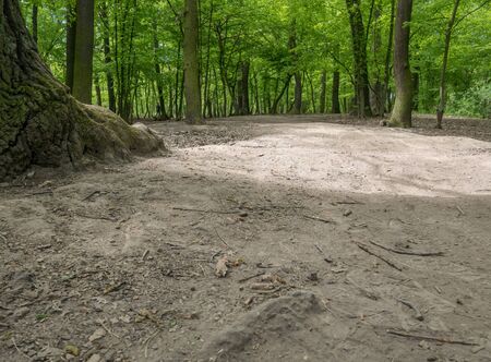 Devastation of Prokopske valley suburban forest on the outskirts of Prague due to drought together with high attendance in connection with the COVID-19 pandemicの写真素材