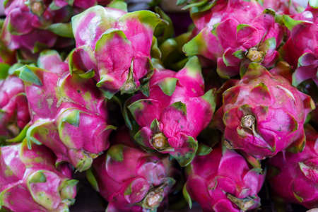 Kampot. Cambodia. Kampot Province. Market. dragon fruit