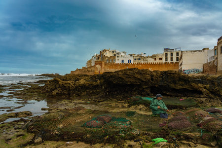 Morocco. Essaouira. shell fishermanのeditorial素材