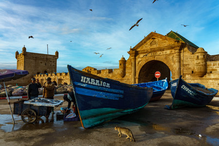 Morocco. Essaouira. Fishing boat and fish seller at the port of Essaouiraのeditorial素材