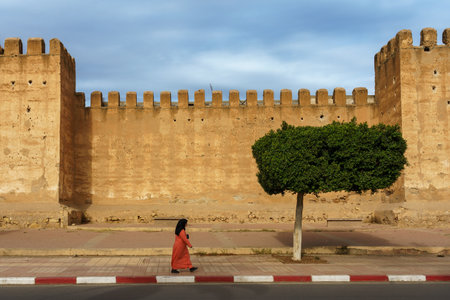 North Africa. Morocco. Taroudant. A woman walking in front of the city wallsのeditorial素材
