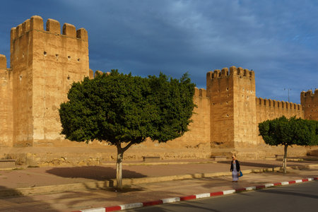 North Africa. Morocco. Taroudant. A woman walking in front of the city wallsのeditorial素材
